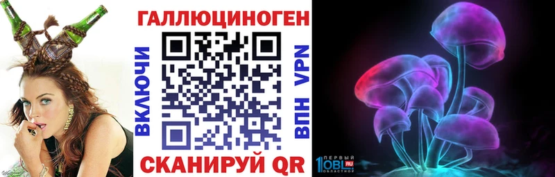 Купить где  Макушино  Галлюциногенные грибы Cubensis 
